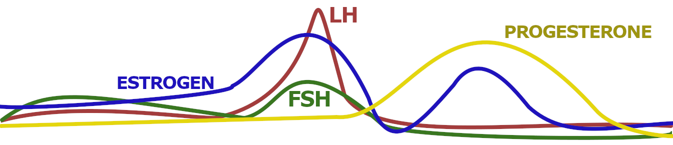 Estrogen, LH & FSH all peak around ovulation. Progesterone peaks after ovulation.