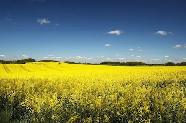 Manitoba